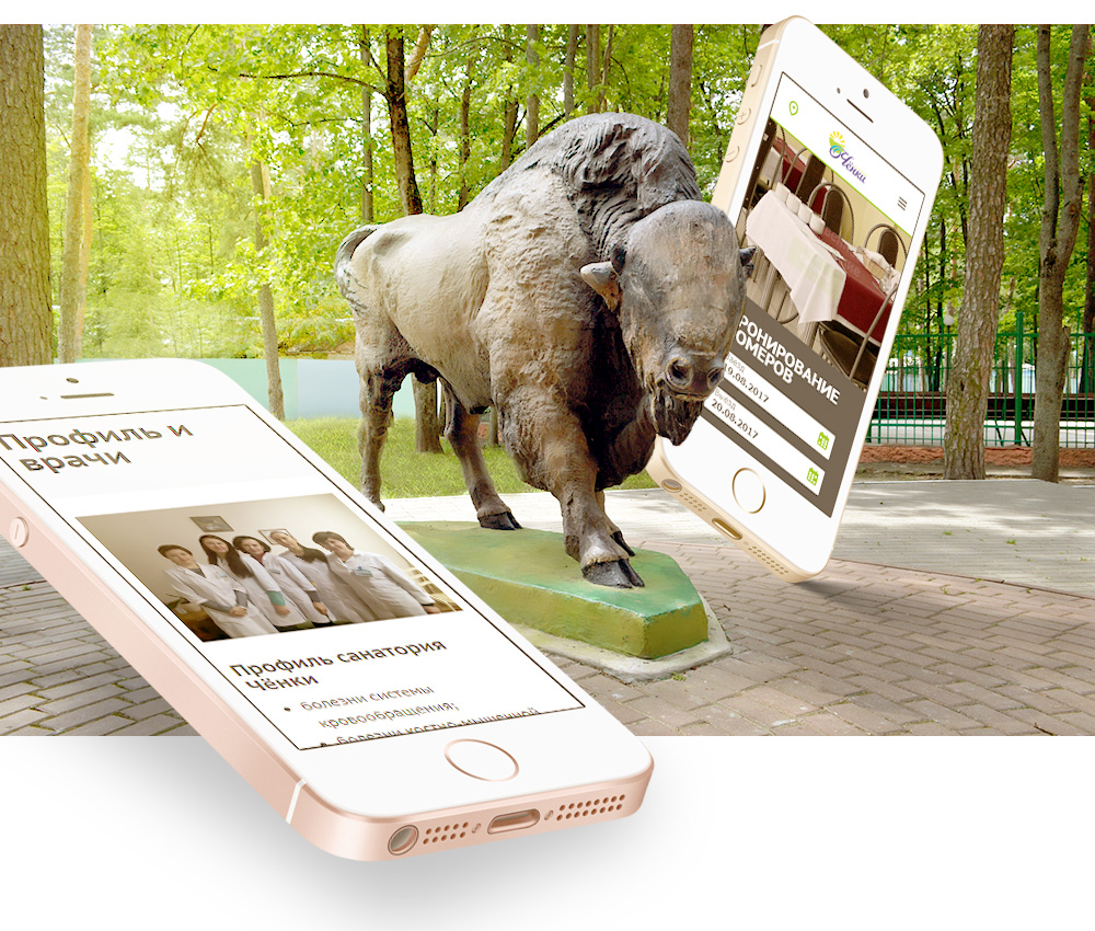 Корпоративный сайт для санатория «Чёнки»