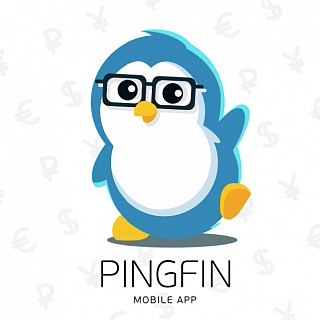 Презентационный ролик для Pingfin